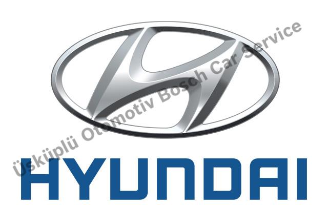 Balıkesir Hyundai Servisi